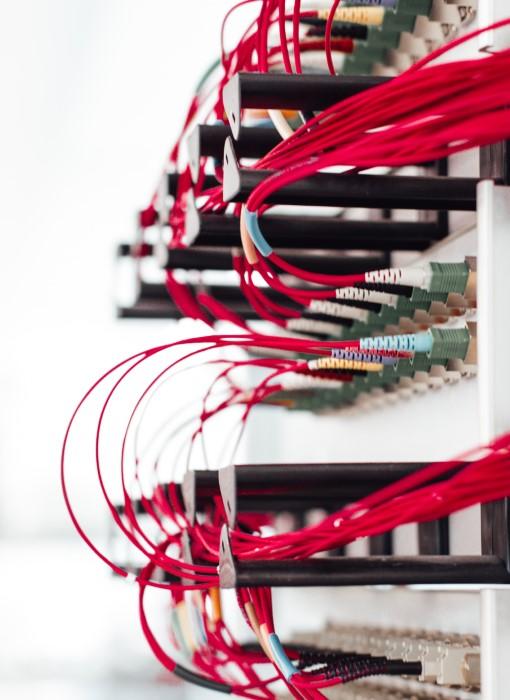 Referenzbild zu RAPS Gewürzwerk GmbH & Co. KG 